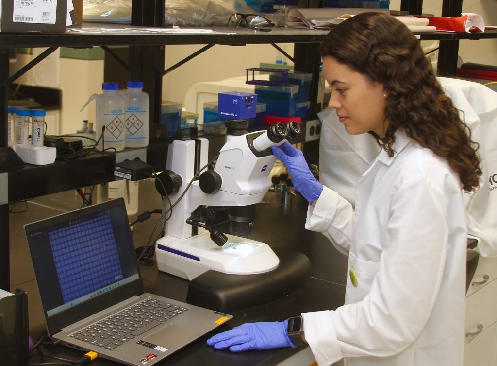 Joyce Rodrigues de Souza, a visiting PhD student in the lab of faculty member Dr. Marco Bottino, uses a microscope and laptop to view a polymeric 3D-printed scaffold for regenerative applications. Tissue regeneration is one in a wide variety of research foci being explored by faculty and research staff at the University of Michigan School of Dentistry.
